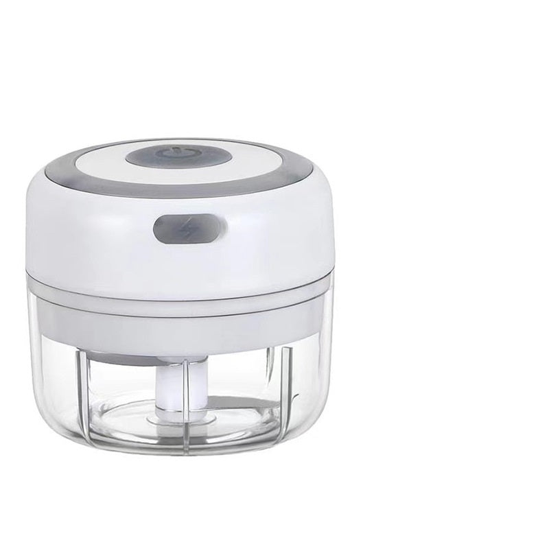 Mini Electric Garlic Chopper & Vegetable Crusher