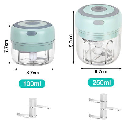Mini Electric Garlic Chopper & Vegetable Crusher